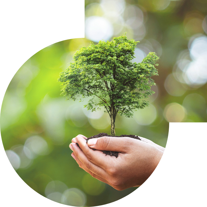 關懷人類、文化、環境與社會